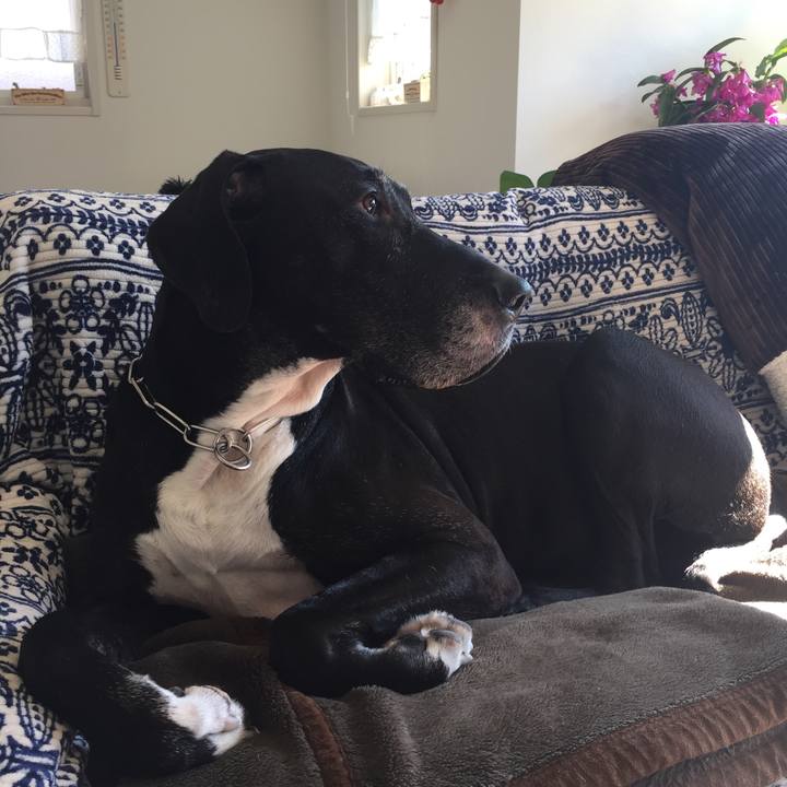 B349d0dd feca 4d19 8b99 cdfeea9e8e47