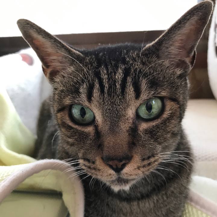 B34b2034 677f 4acd be8f c583d30ff9f3