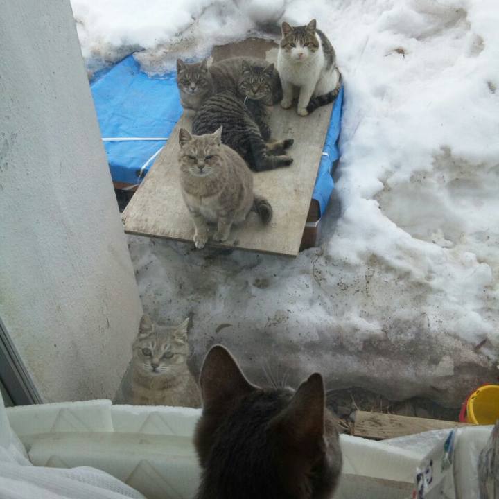 B34b86f8 bdf9 422f 821d 74f6eb4ecce9