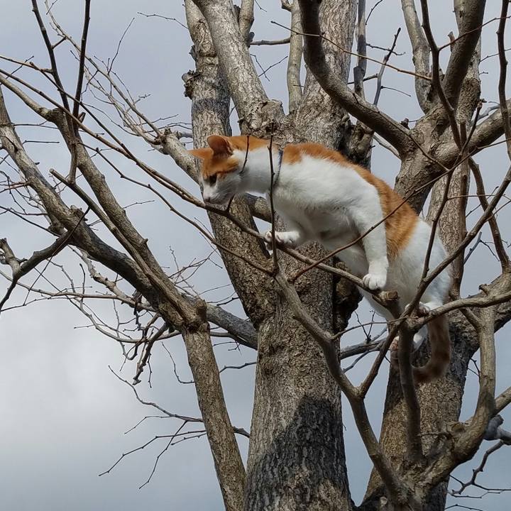 B34bac1b 045a 4e56 9f57 80491c47c70f