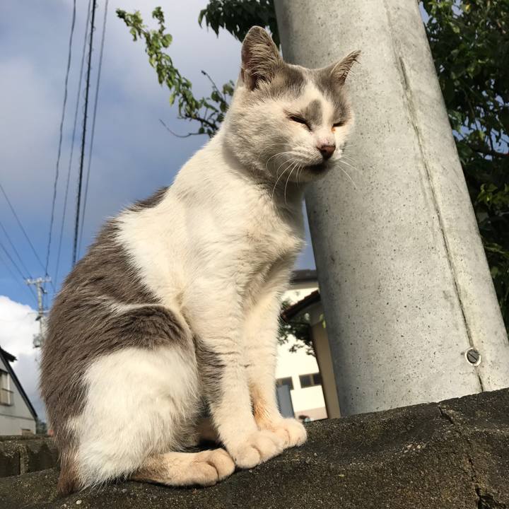 B34c5488 fe4b 4a66 9994 ddba4fb14b7d