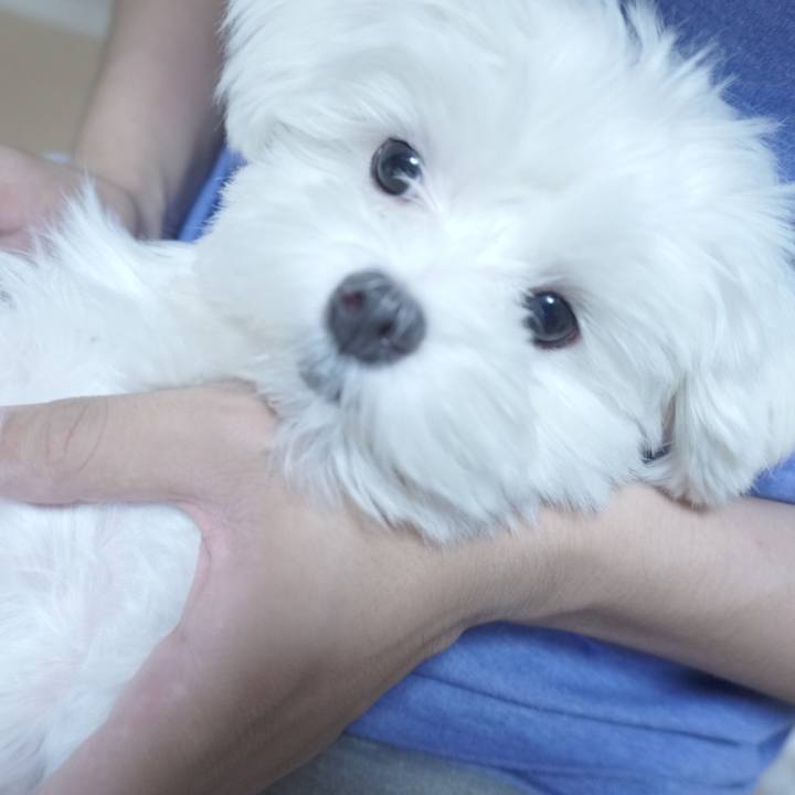 B34d0b9f 3994 4b65 b8b7 dd6cbc9a79da