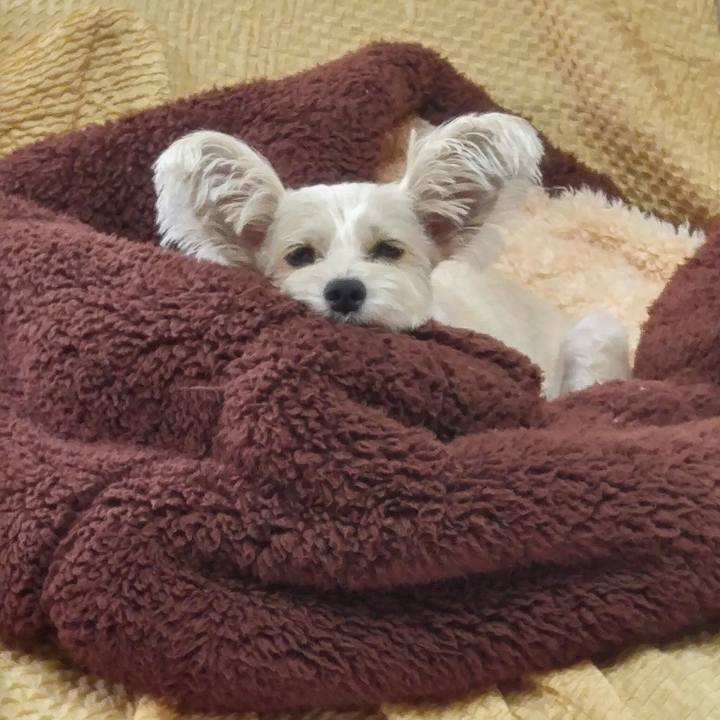 B34dde55 339b 4e9c b330 7232a1c05804