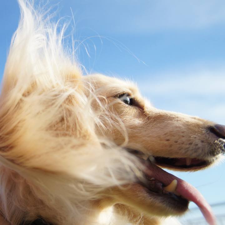 B34e213e 0827 4d51 ab01 d55268dc4543