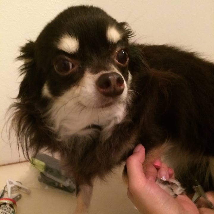 B34e31fc 6635 4197 8577 e5118ce0e48f