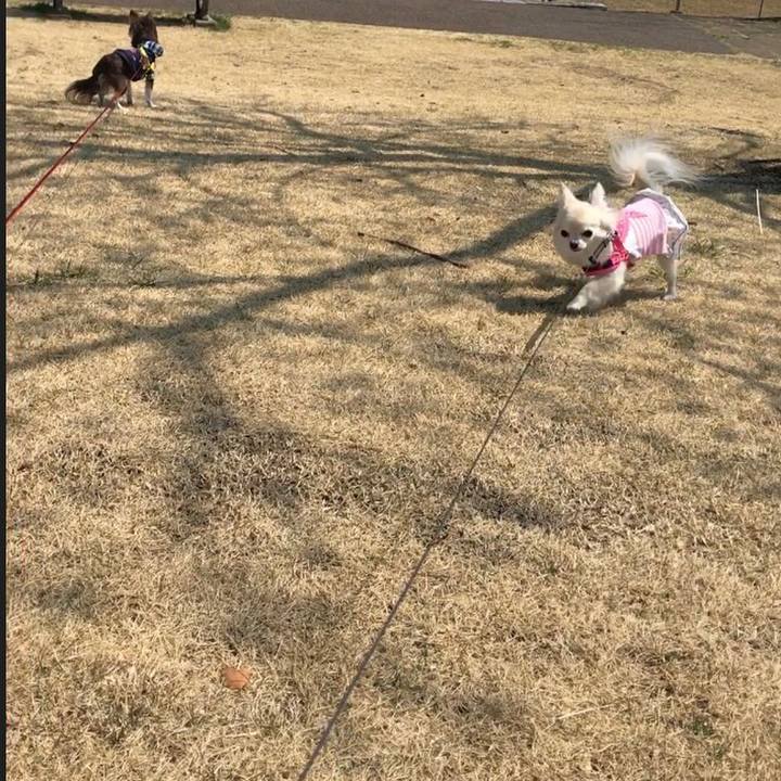 B34e5a77 b30a 44ba 8e0e dc6e96d28509