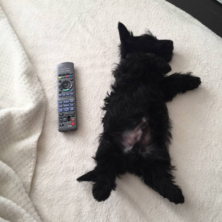 B34e6427 af22 40e4 8d79 588d33c334a2