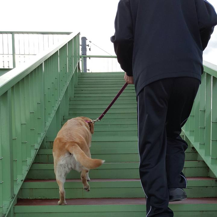 B34ec7e0 52a9 41b4 b3a9 1ee1756fccac