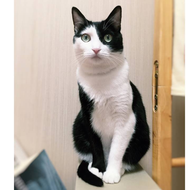 B34ec94a 85f0 4f6f b0b7 75b454a2e1a2