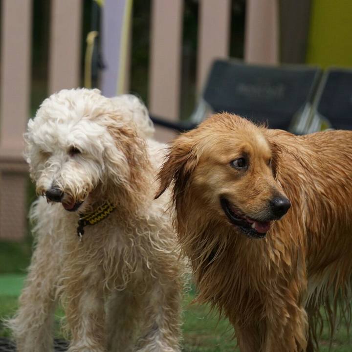 B34ee77b ccfd 4d06 a794 d24599bc00b0