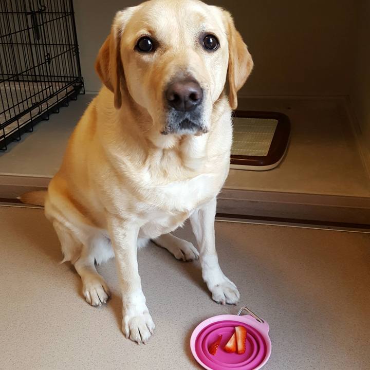 B34eeedf be4a 4c32 ab74 034853211081