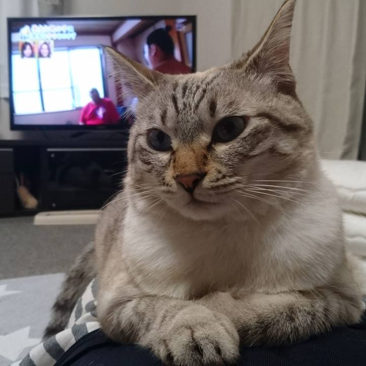 B34f4706 d60e 474b a0bc 8cb584ffac7a