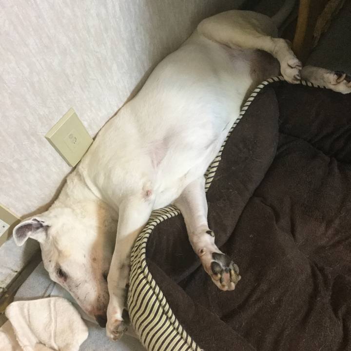 B34f7653 5a6c 4bc1 aaa3 7f24e8242e92