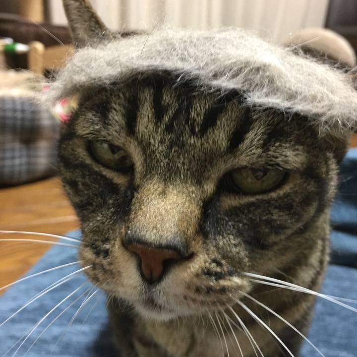 B34fb35e 5a1f 4d01 a96b a6bf05674431