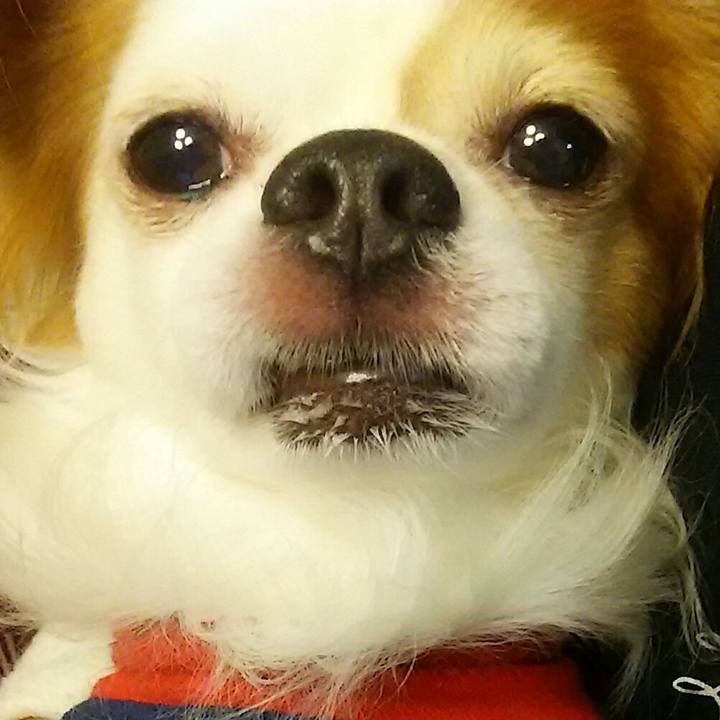 B34fdaed a782 4611 b4e2 22711c7a3980