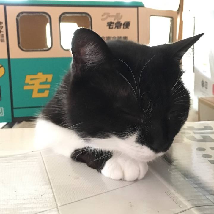 B35016a0 2815 4693 b1ac 6599f5f35360