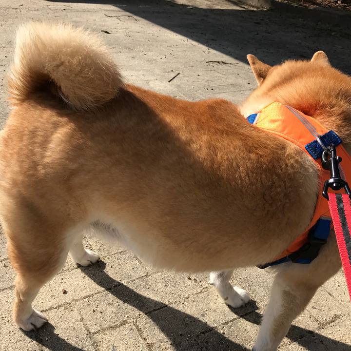 B350276d 8c66 4fc6 9e72 2376c4a54421