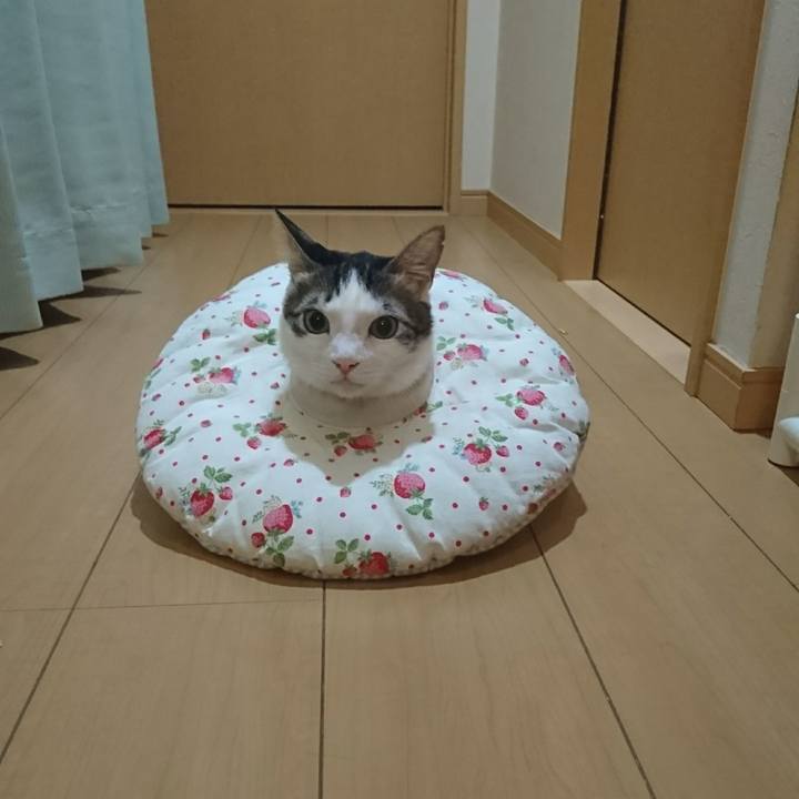 B3502876 939b 4ccf bef8 1bed7561727f