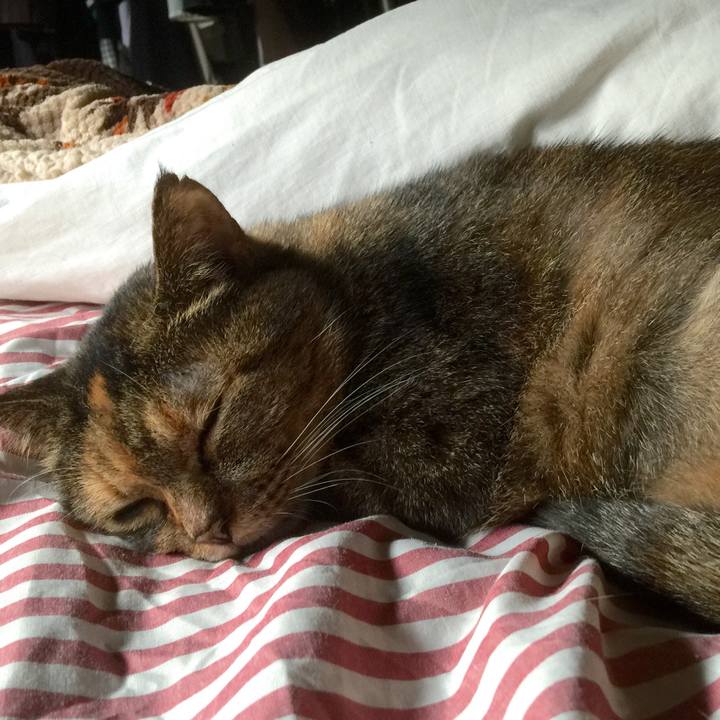 B3516b23 bf54 4055 ab6c 8e6d0a808053