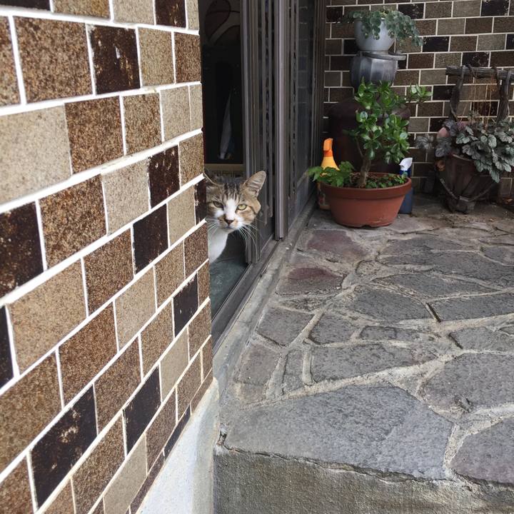 B351a369 edeb 41e7 b533 a3d825897569