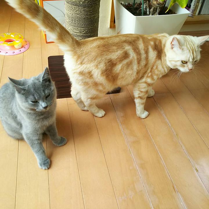 B351d910 2a01 4998 9bd6 d3163b4e5cda