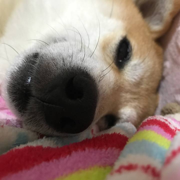 B3523543 d922 414a 80a4 c477eac1e810