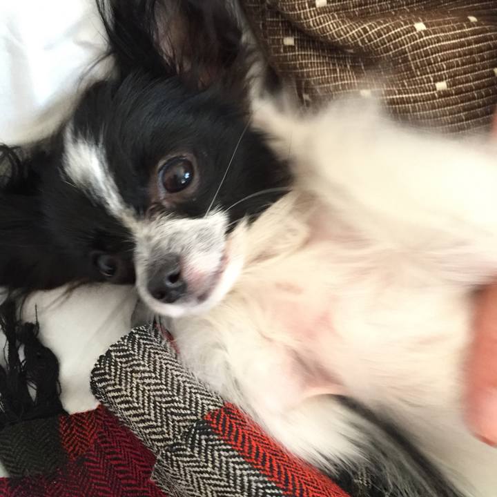 B3536e8b beca 4a98 89d1 b30a447d5a6e