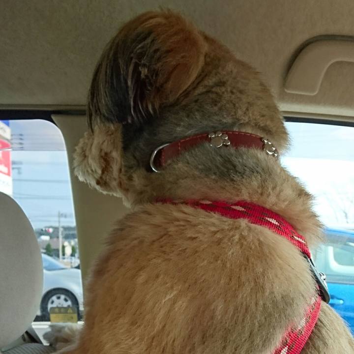 B35416a8 9439 47dc b675 c456bf144d80