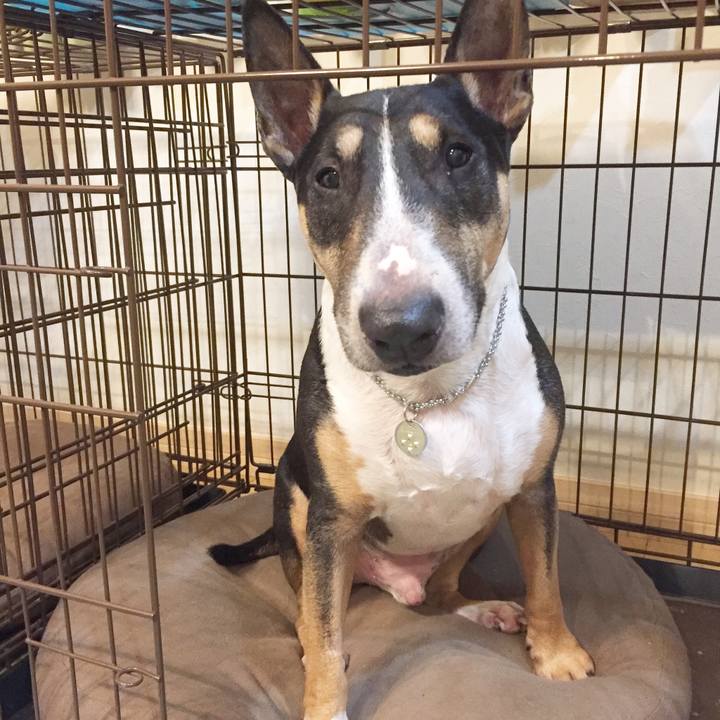 B354bed4 d0e2 4184 b503 52d083c67a54