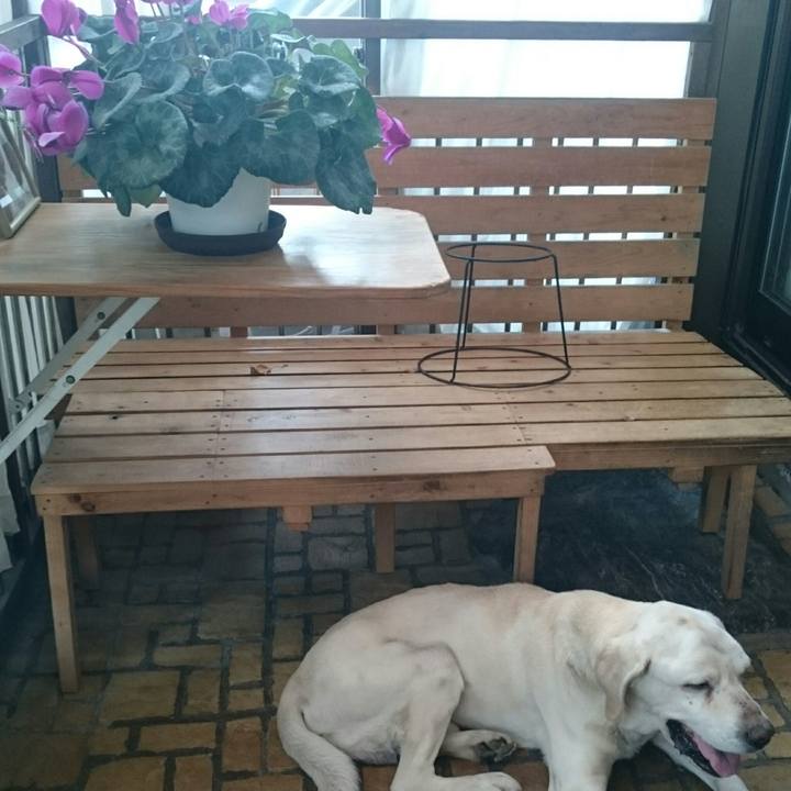 B354f3cd 293e 4170 9b04 9e4bff94ce93