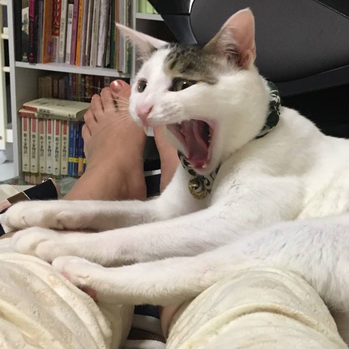 B355b2bd abd0 48f9 96d2 e7166a7b10d9