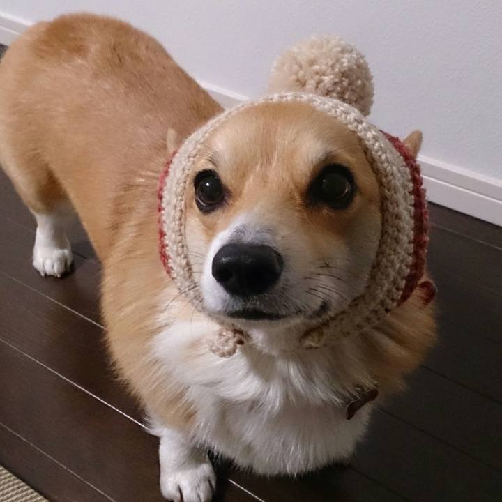 B3567f84 315f 445c b057 a2e65af180f4