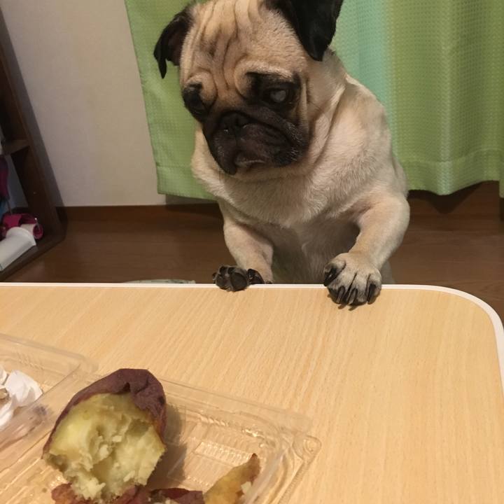 B356a616 32e4 4d0d af81 9f86a06a34c0