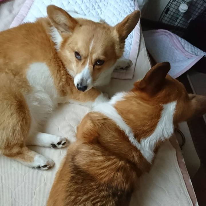 B356e1c1 c84c 4f89 9e64 1c5b843479c1