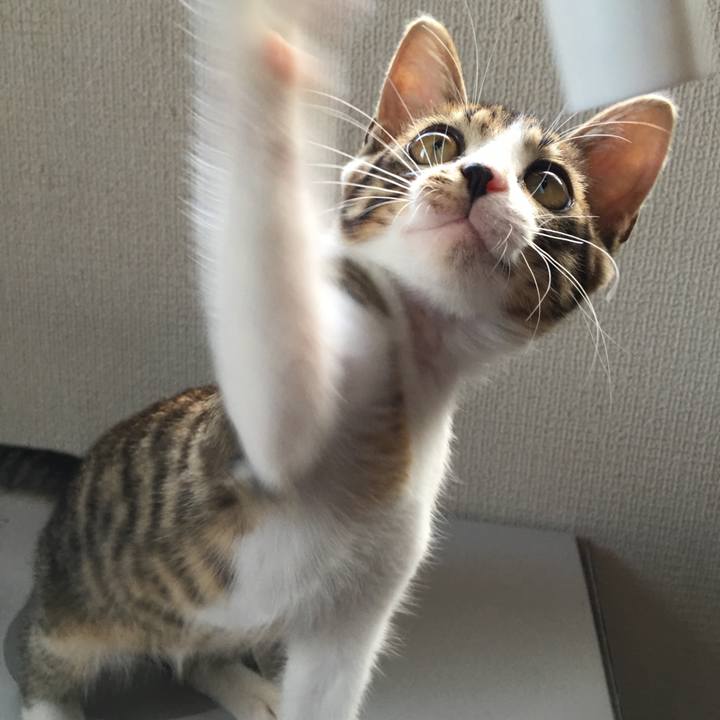 B357556f c078 4f85 bf49 1e04bc7eca27