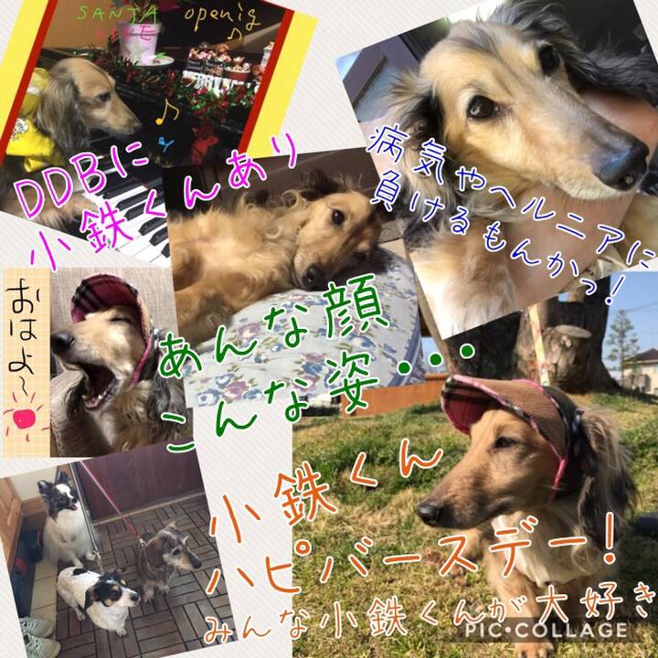 B3575bee 6a81 4309 8b71 c69dc0f3549c