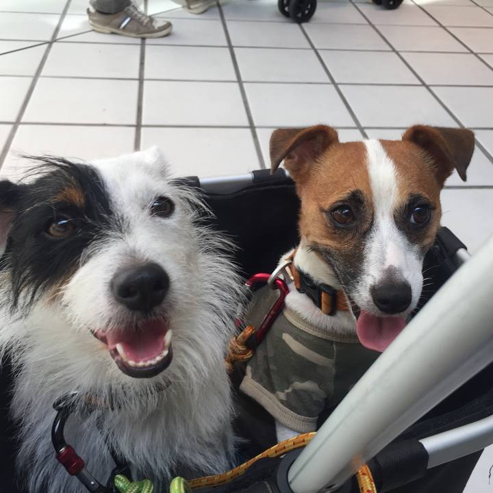 B35770d1 2046 45c0 98f1 a78294a30ce4