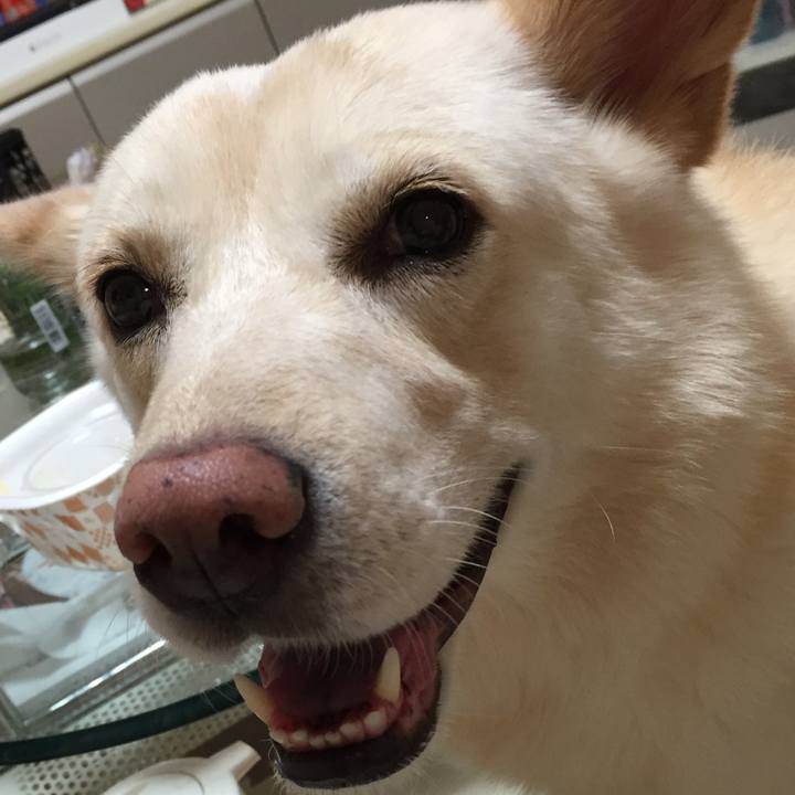 B35a8083 7e7a 4544 ba13 c3436497df82