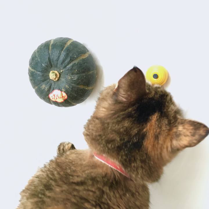 B35afdf6 398c 4190 b199 5654fb79c20e