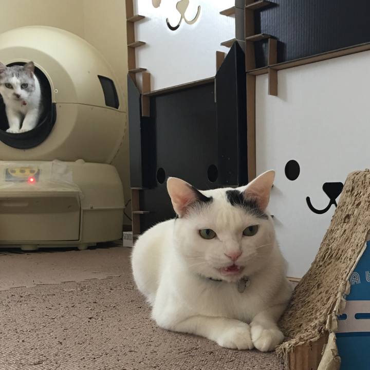 B35b3fe3 5682 4dc1 ab67 06171d65a098