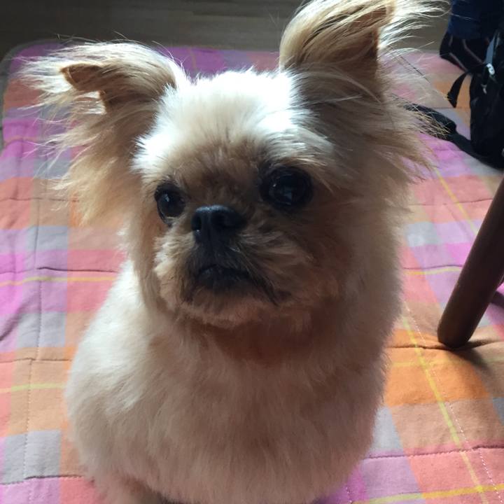 B35b6685 3528 4441 8058 fca92835b032