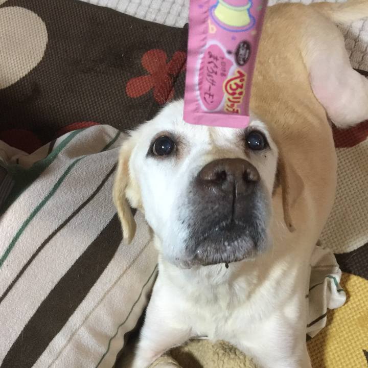 B35beded c2b2 452f b542 cddd7f25eea8