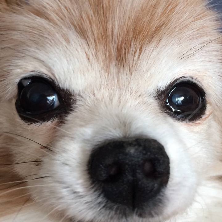 B35c336b a6ee 4744 b2fd 96b963211136