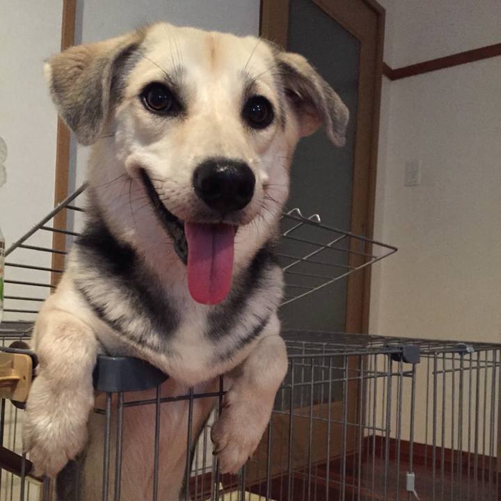 B35c587a b271 403b 85ed 9f909a177a94