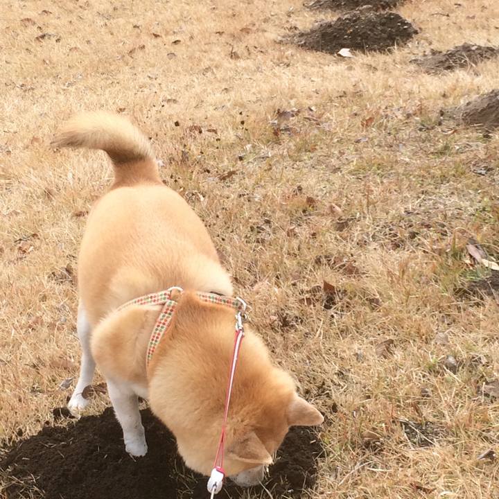 B35ca8e4 3edd 4b54 ad2f 24a63077ecd4