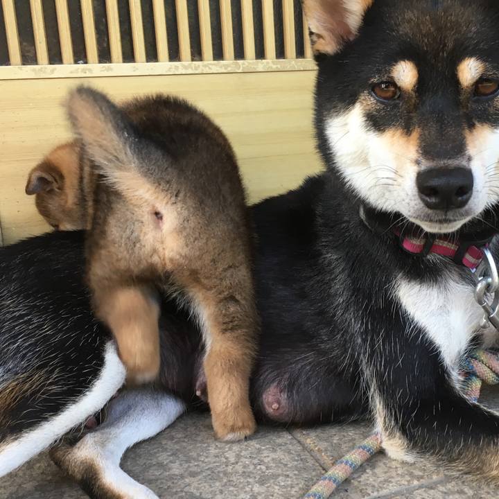 B35cae08 2d78 4de5 af0d d0c14913aba6