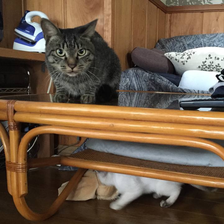 B35ce1d9 0a01 417e b163 9d9dbbf1fad5