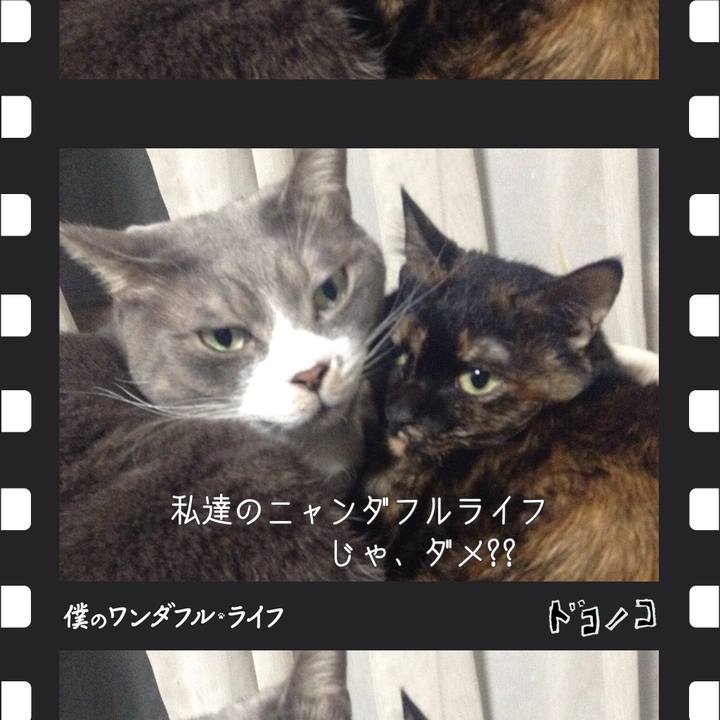 B35d1198 47fa 4d25 bae1 cfef9f558e32