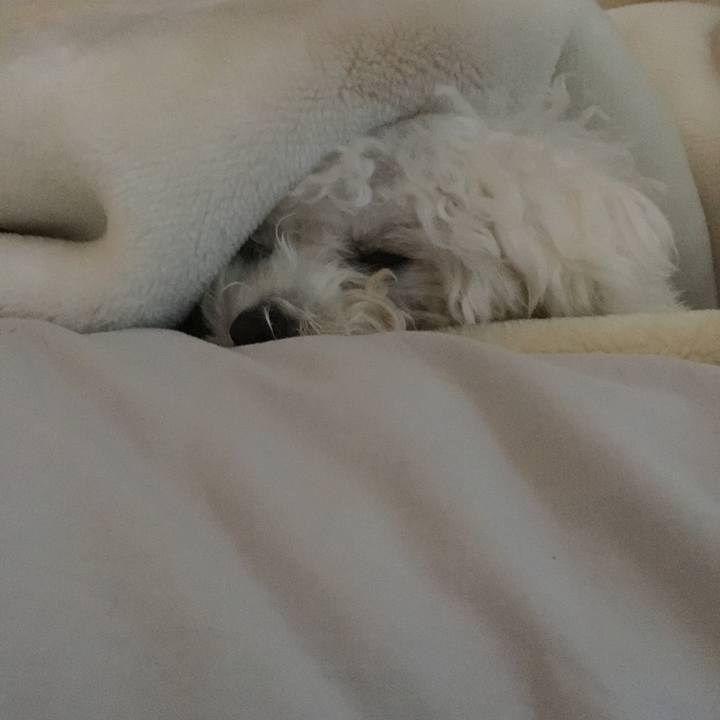 B35d2d82 bd26 4a56 a626 327f4b34dae4