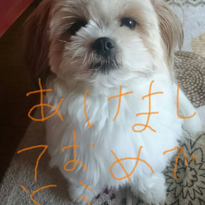 B35d3f37 698c 49b0 9770 6846ad7a9712